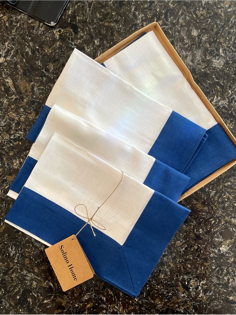 Blue and White Dinner Napkin Set